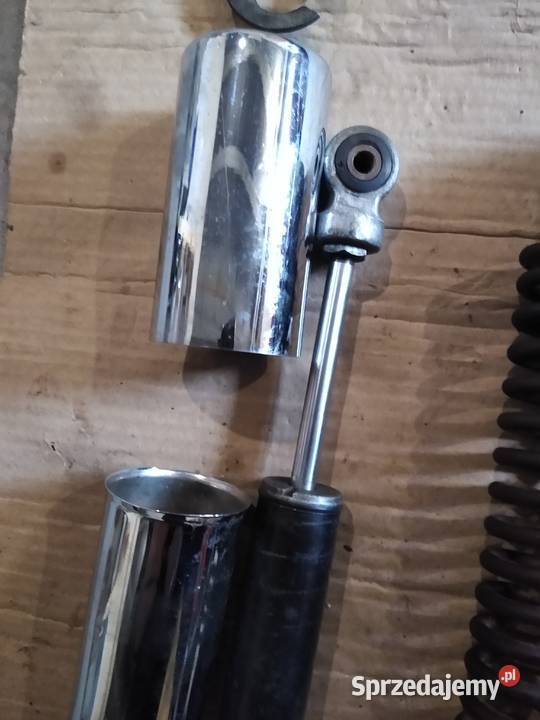 Wfm osa pozostalosc Kruszwica