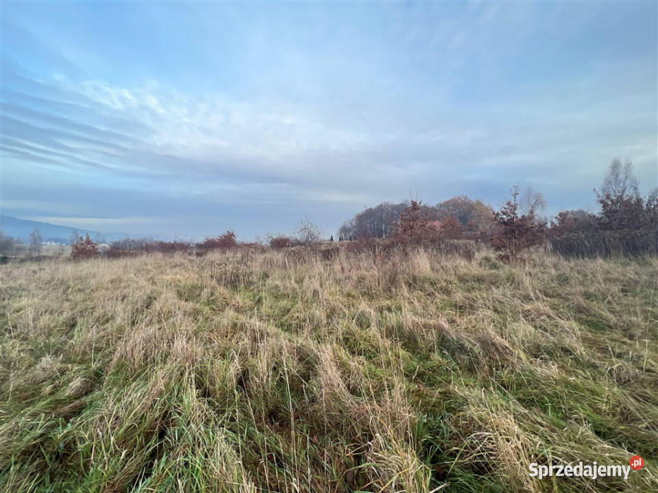 DZIAŁKI BUDOWLANEJ  W WOJCIESZYCACH 4123m2 Wojcieszyce sprzedam