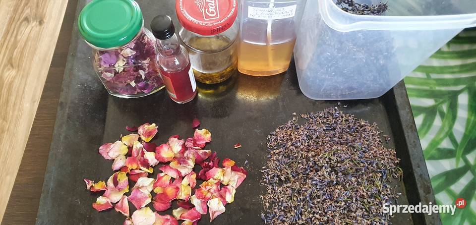 LAWENDA SUSZ podkarpackie Rzeszów