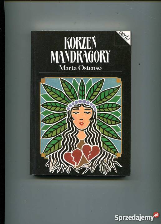 Korzeń mandragory Szczecin