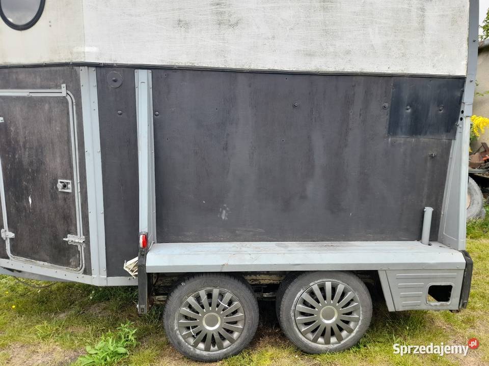 Przyczepa Westfalia do przewozu koni 2