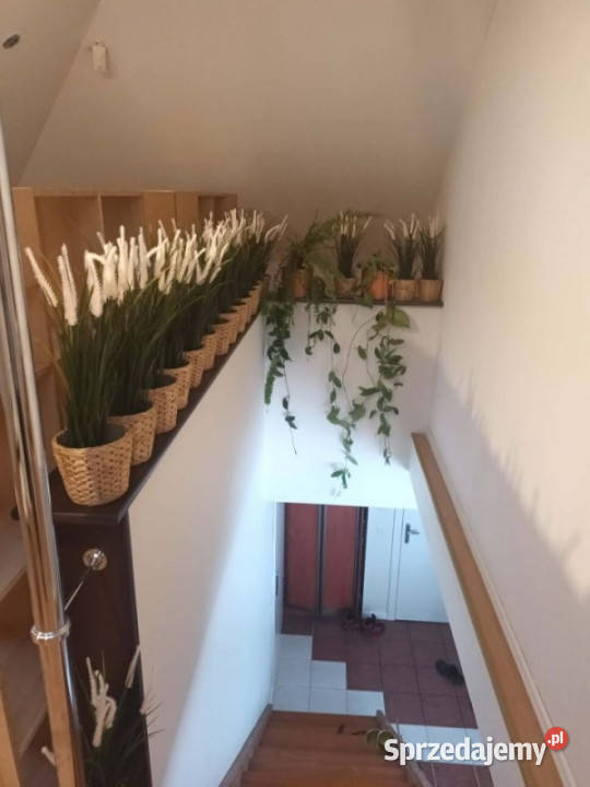 Dom z dużą działką Wola Pieczyska