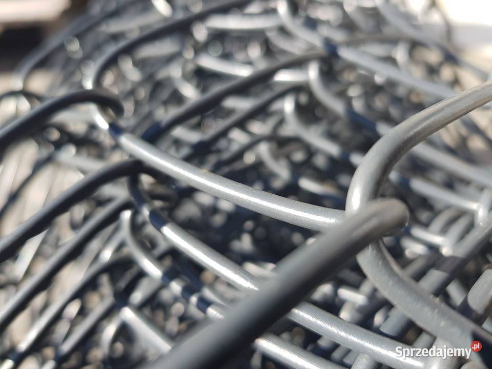 siatka ogrodzniowa 60x60 150 ocynk pcv Miastko