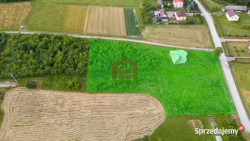 Grunt sprzedam 7000m2 Borek Wielki Króla Sprzedaż podkarpackie sprzedam