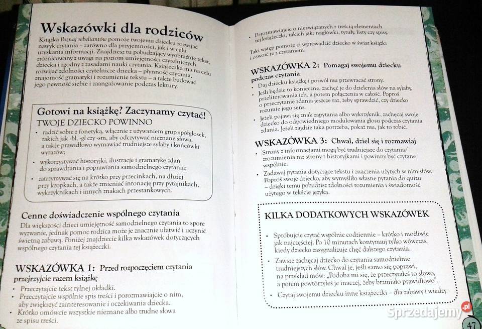 Star Wars Rebelianci Poznaj Rebeliantów Sadie Chełm