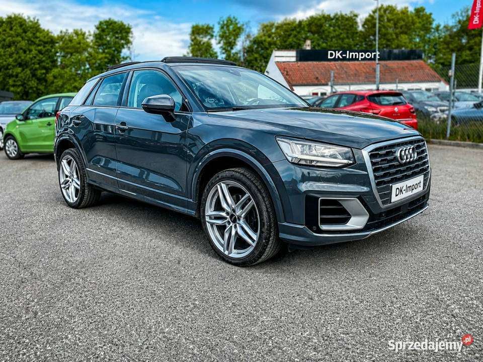 Audi Q2 wielkopolskie Sadlno
