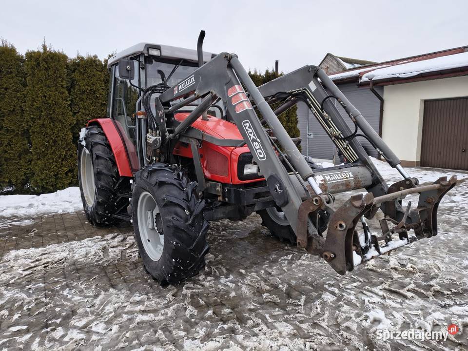 Massey Ferguson 4235 z ładowaczem lubelskie Grabów Szlachecki