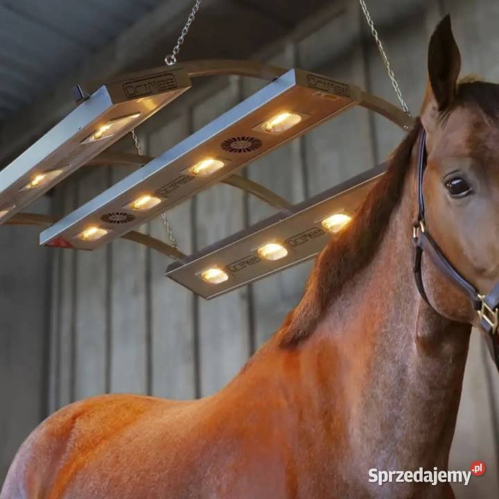 Solarium koni Drimee Sirocco Do hodowli zwierząt Mikołów