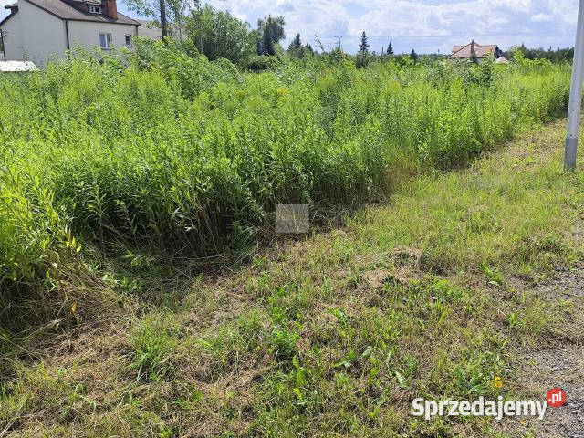 sprzedaży gruntu 992m2 Ciemne sprzedam