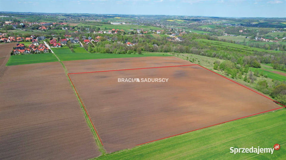 Działka 30420m2 Młodziejowice 159zł/m2 małopolskie