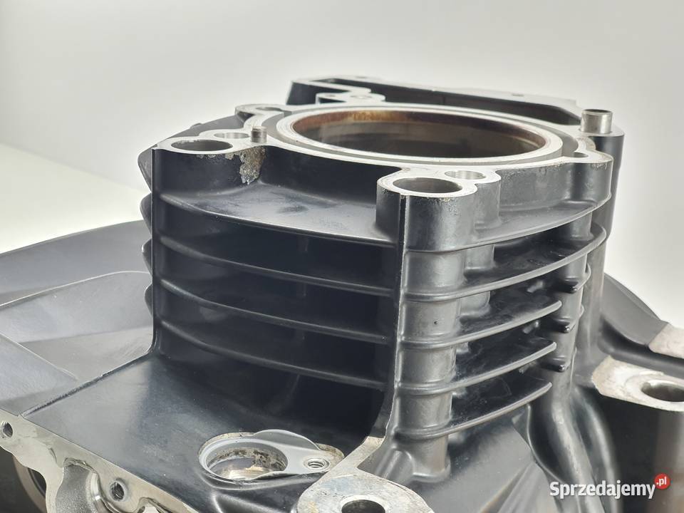 Blok Karter Cylinder Silnik Bmw R 1200 Gs Janowice