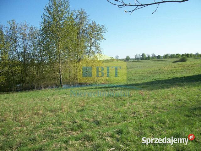 Działka 219 ha jeziorze Drawsko rolna Siemczyno