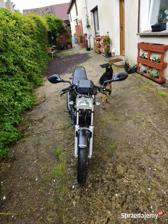 suzuki rg 8050 gamma 49cm3 sprzedam