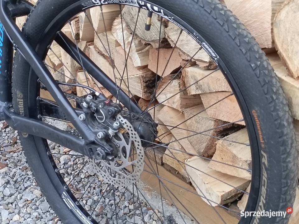 Rower dirt kands colt 2025 dokumenty