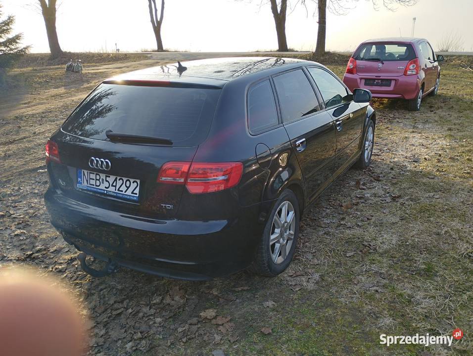 Sprzedam Audi A3 8P HB 5 drzwi 16TDI2012r manualna Tomaszewo