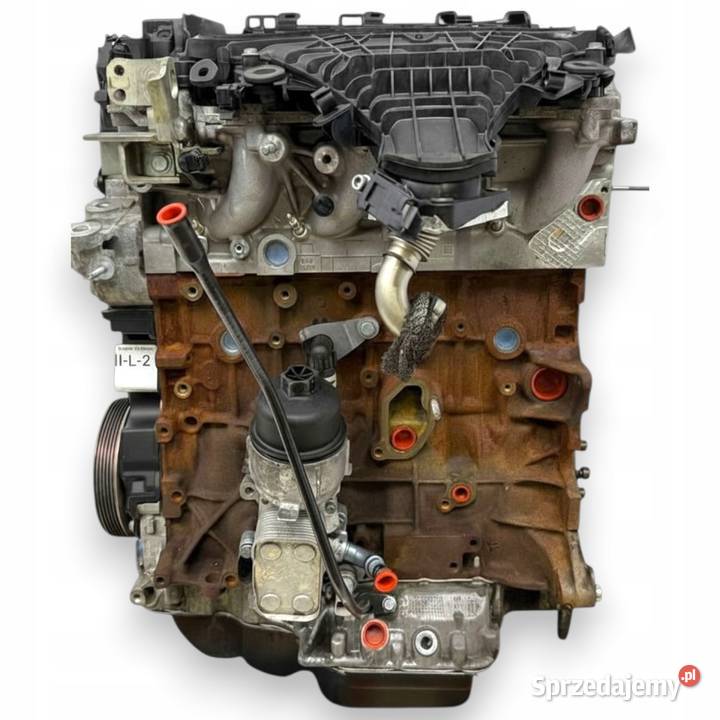 SILNIK TXDB Ford Focus III MK3 C C II 20 TDCI Chełm