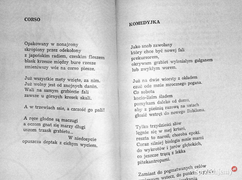 Oda do głupoty Aleksander Ziemny Chełm sprzedam