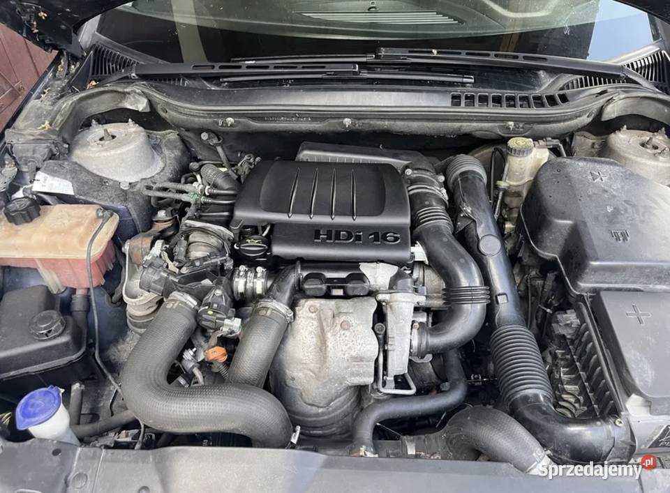 Citroen C5 Jarocin
