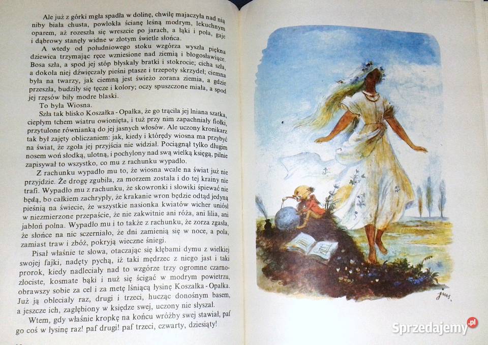 O krasnoludkach i o sierotce Marysi Maria Chełm sprzedam