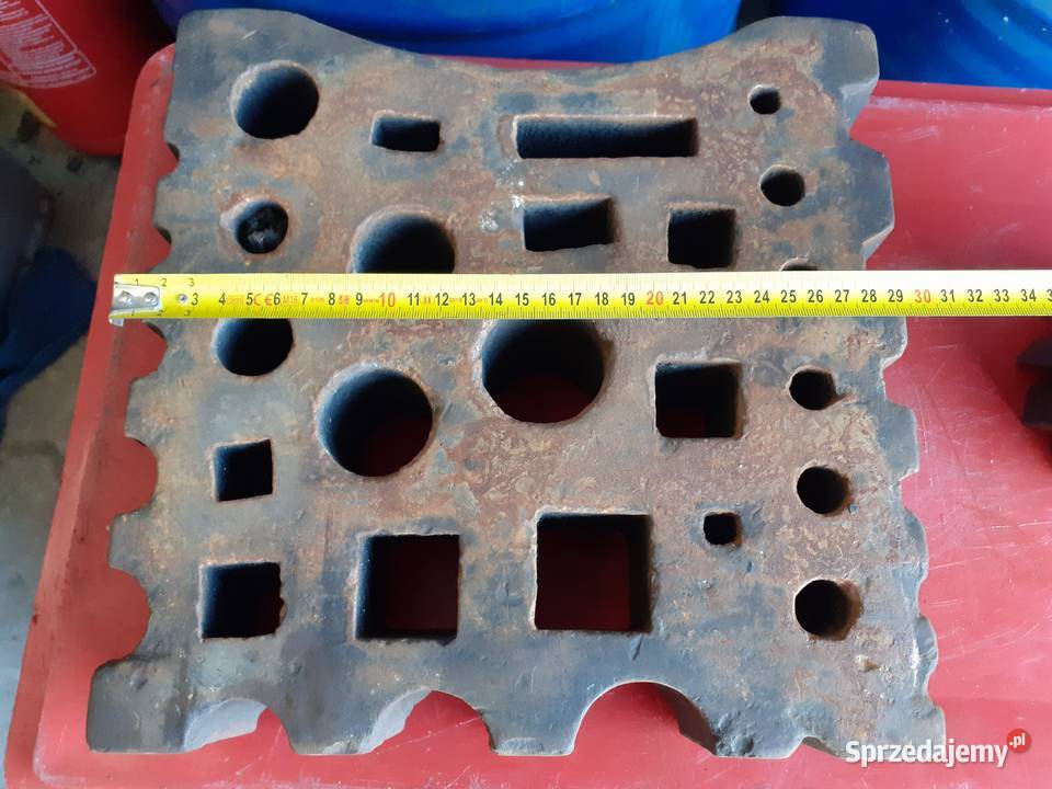 Dziurownica kowalska Tarnobrzeg