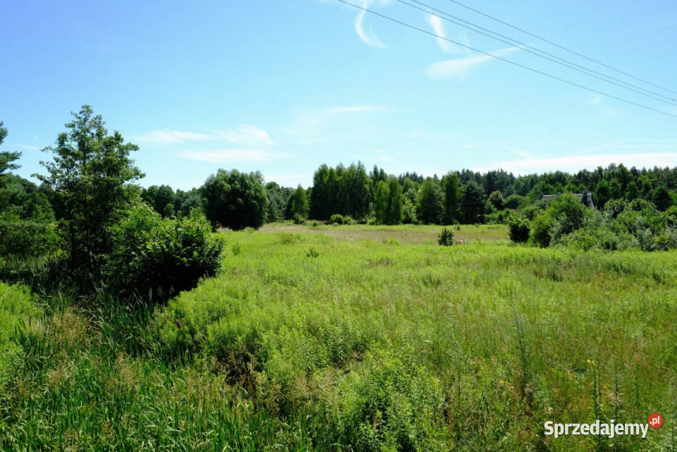 Działkę sprzedam 11700m2 Kampinos
