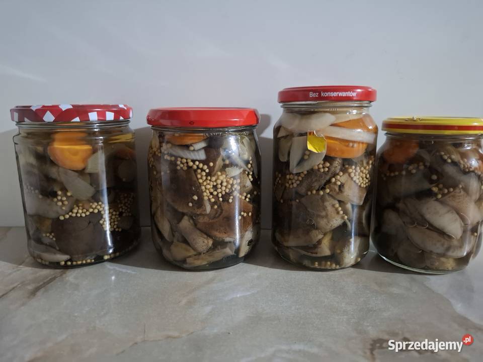 Koźlarzekozaki maślaki zajączki marynowane w sprzedam