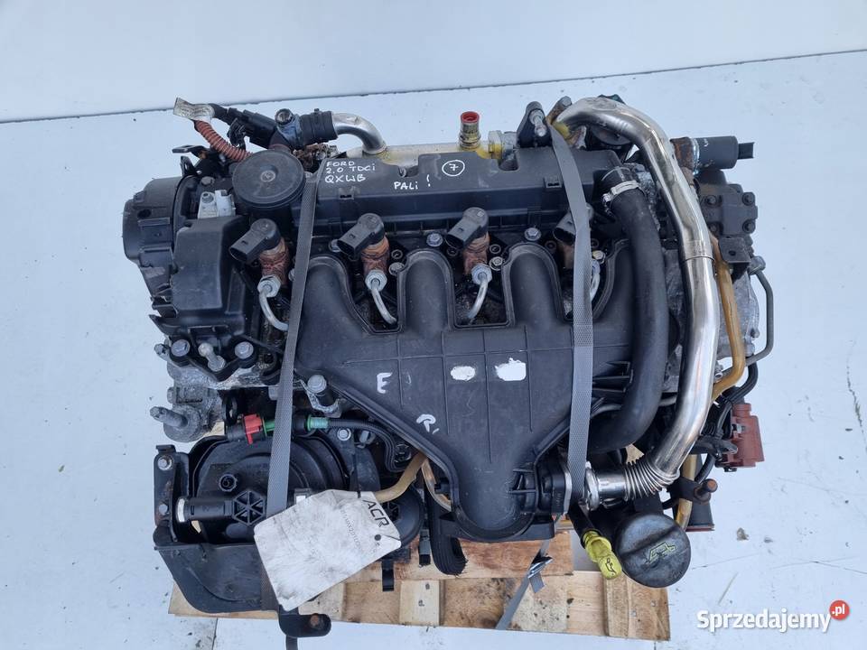 SILNIK KOMPLET Ford S S 20 TDCI 140 QXWA QXWB lubelskie Rudka
