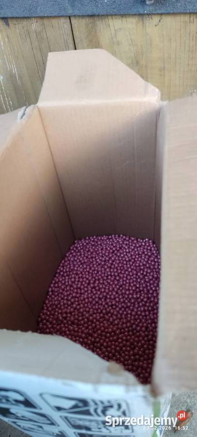 Nasiona buraka cukrowego janetka hunor Pozostałe Turobin sprzedam