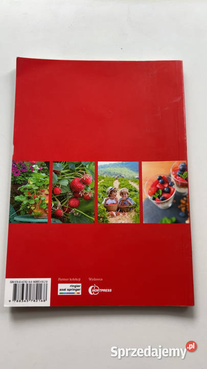 TRUSKAWKA Uprawa Odmiany Przepisy Ciekawostki Warszawa