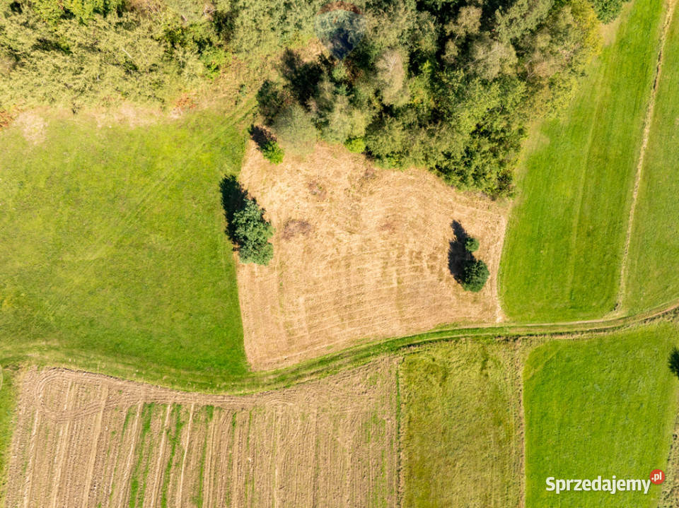 Działka 2100mwydana WZ Stara Wieś sprzedam