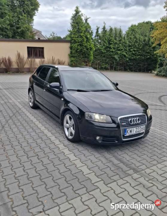 Audi a3 8p 20 Tdi Bochnia