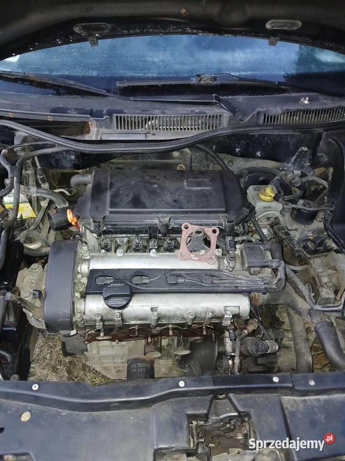 Golf 4 14 16V 75 3Drzwi na czesci benzyna Sławków sprzedam