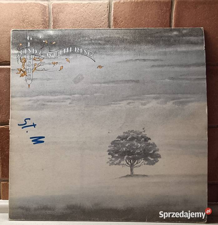 Genesis Wind Wuthering Płyta winylowa Italy 1976 płyta winylowa Brwinów
