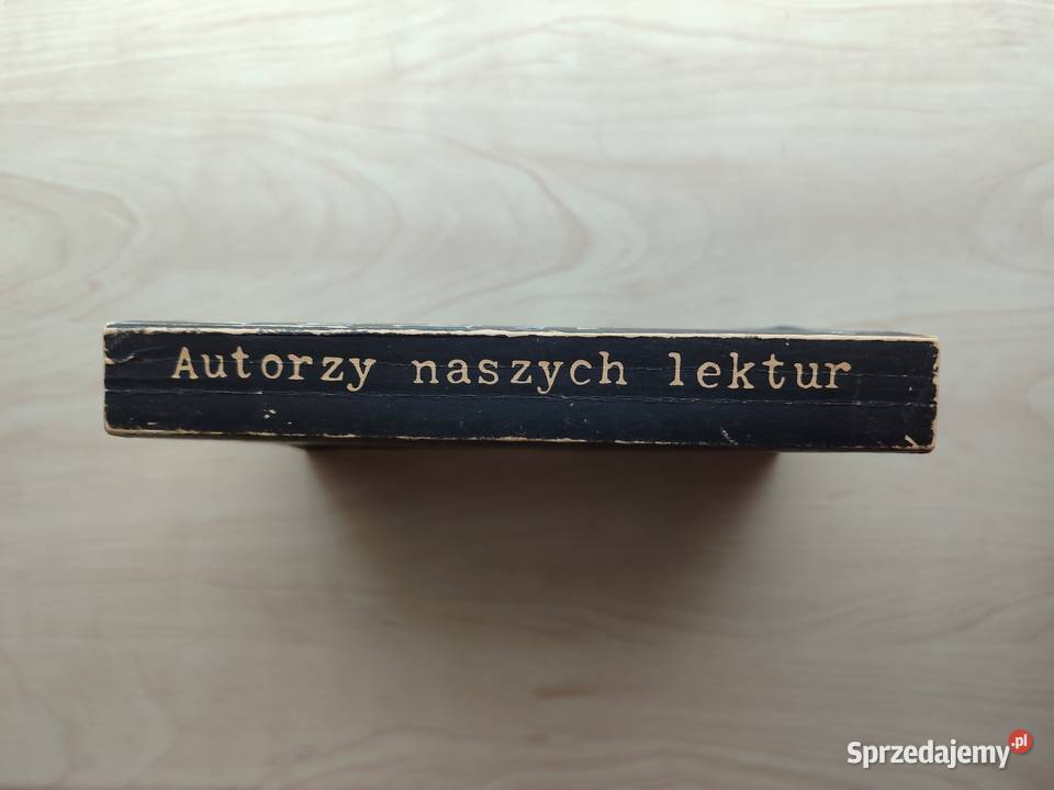 Autorzy naszych lektur Szkice o pisarzach miękka Katowice