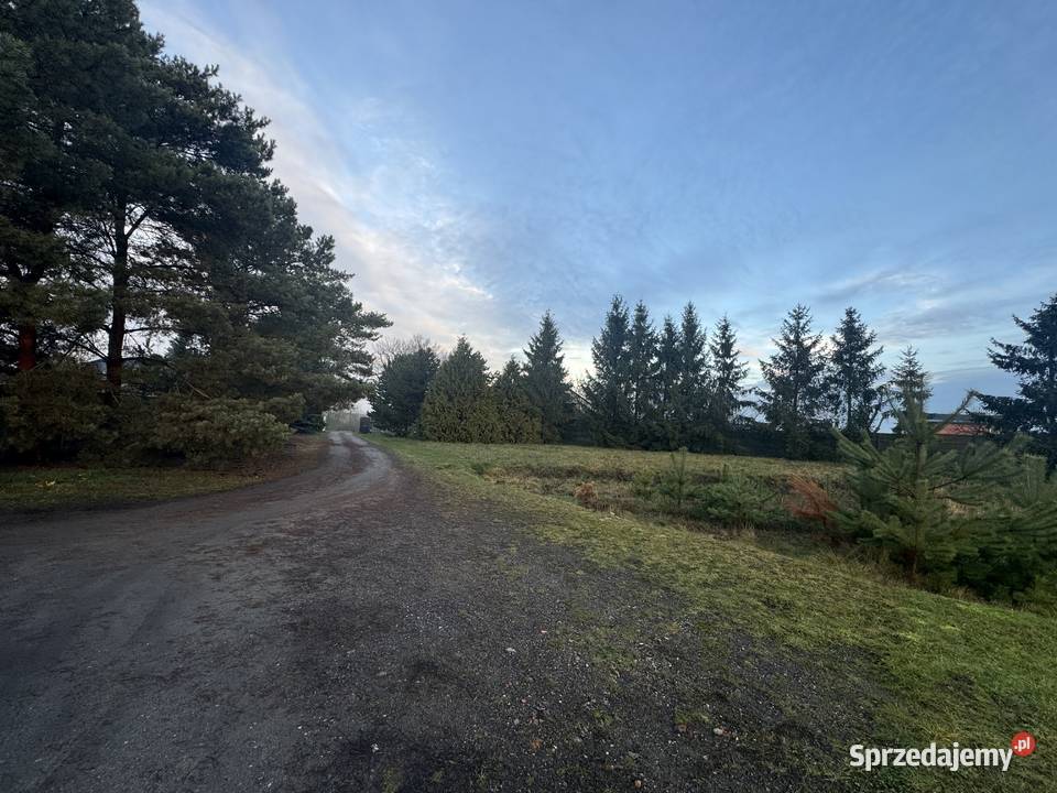 Działka budowlana 4219m2 Wójtostwo Pobiedziska