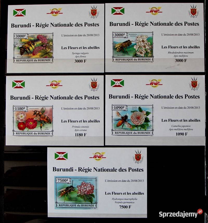 Burundi Oborniki sprzedam