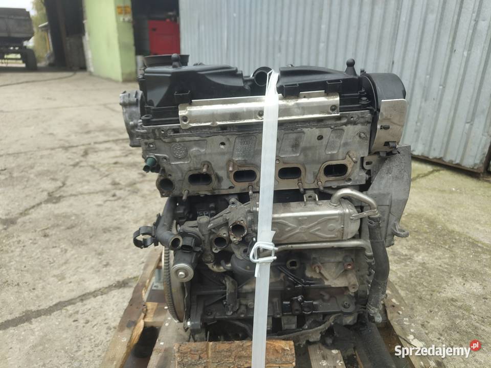 Silnik volkswagen polo 2010 16TDI CAYB świętokrzyskie Jędrzejów sprzedam