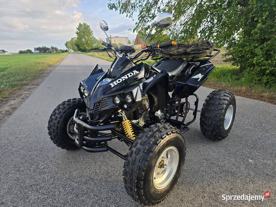 Quad EGL Rush Mad 250cc 41r Rama xxl quad - ATV Kruszwica