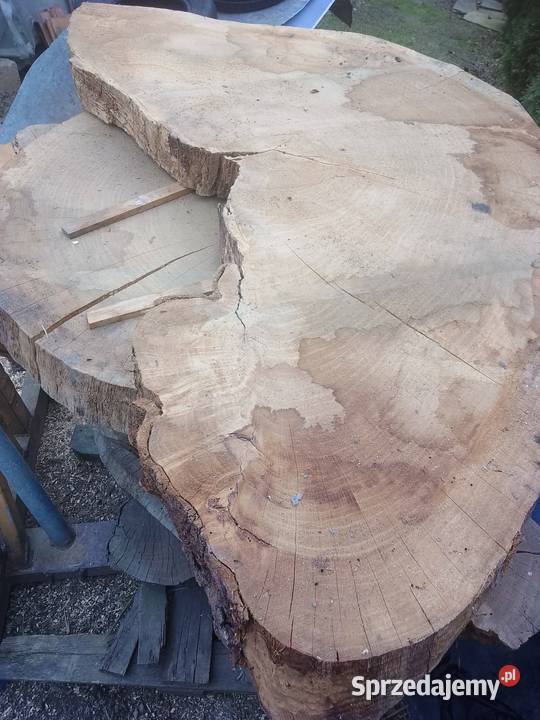 Sprzedam plastry dębowe i wiąza Bochnia