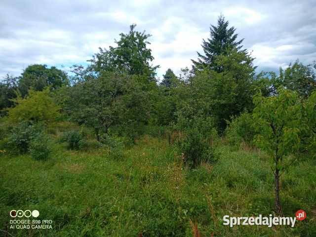 ROD 600m2 wójtowa rola Olsztyn sprzedam