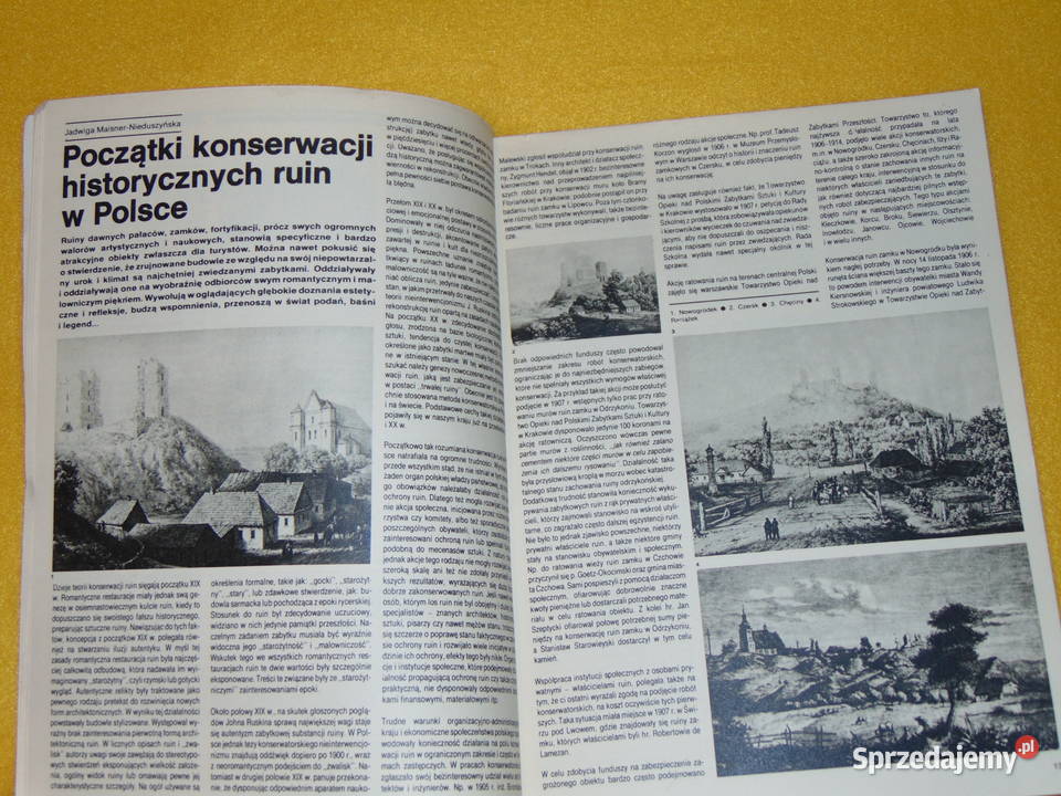 Spotkania z zabytkami 1981 Lublin