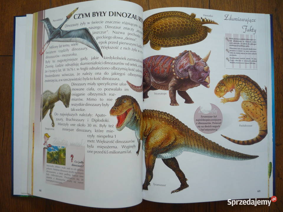 Encyklopedia dzieci Teraz już wiem Szczecin