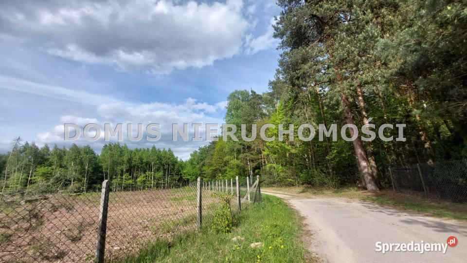 Grunt Rosanów Poprzeczna 4504m2