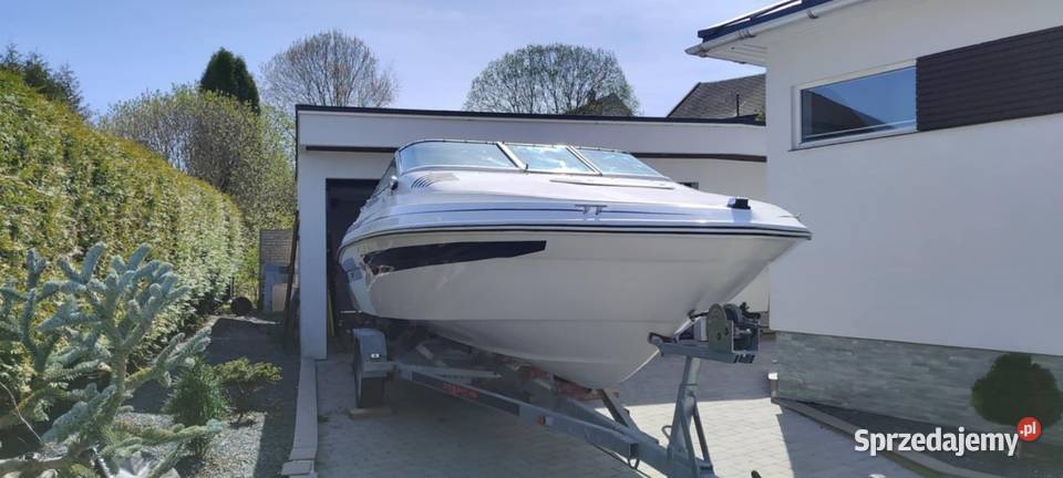 Sea Ray Mercruiser