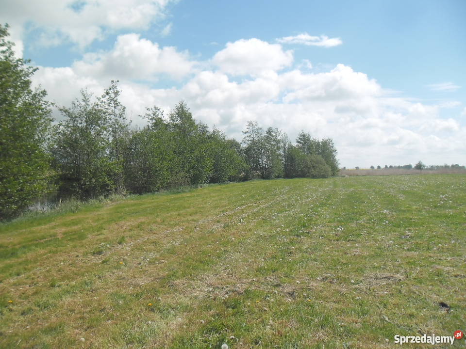 Sprzedam dom Kraczki