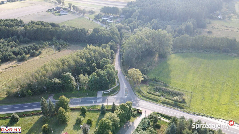 Działka Łęczno 3883m2