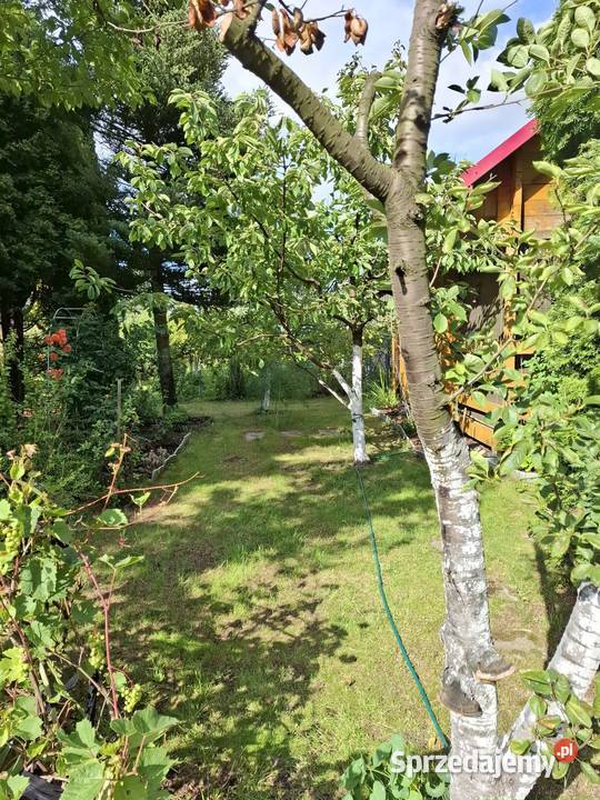 Sprzedam działkę Wola Mrokowska sprzedam