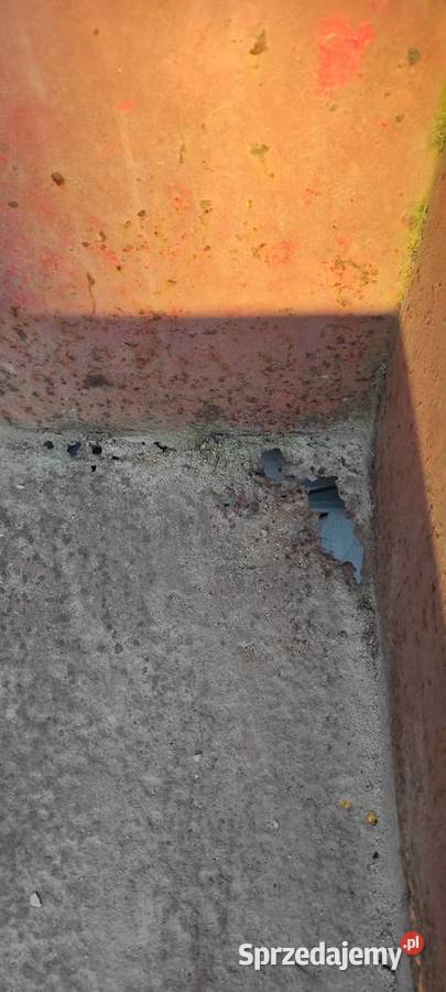 Terra vari jednoosiowy MF 70 gudbrod dzik Łowicz