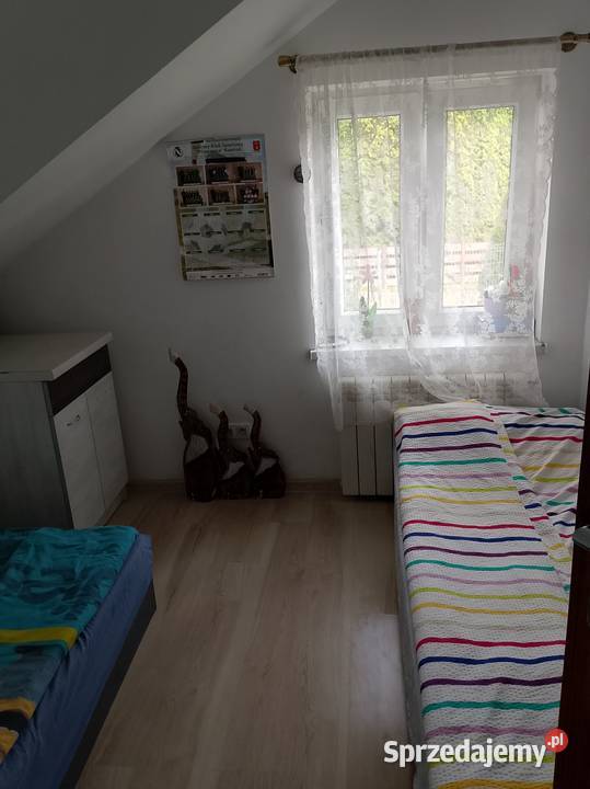 Noclegi firm i osób prywatnych Chełm