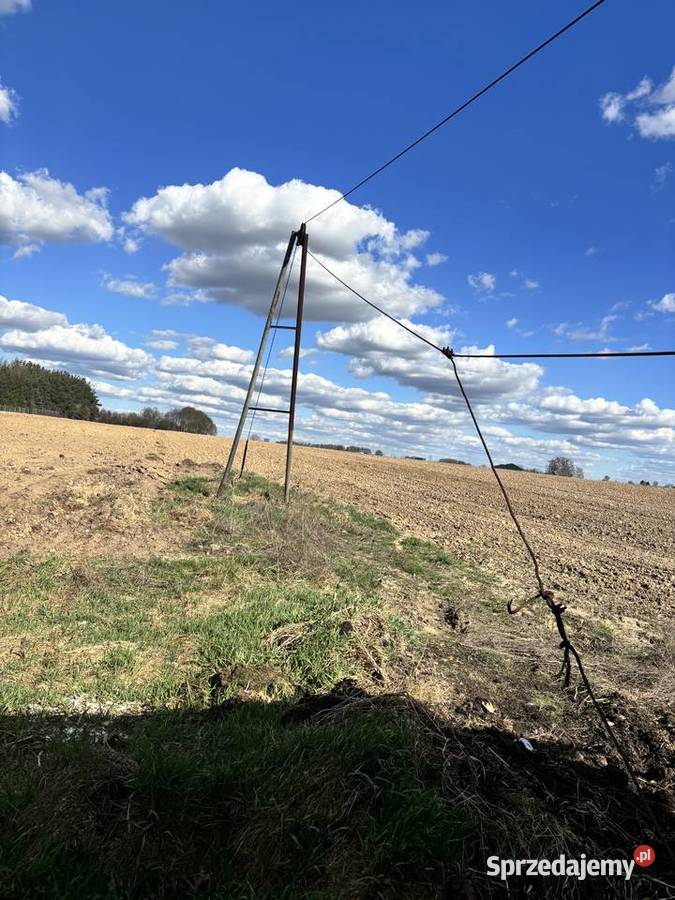 Sprzedam wyciąg do obornika Zambrów